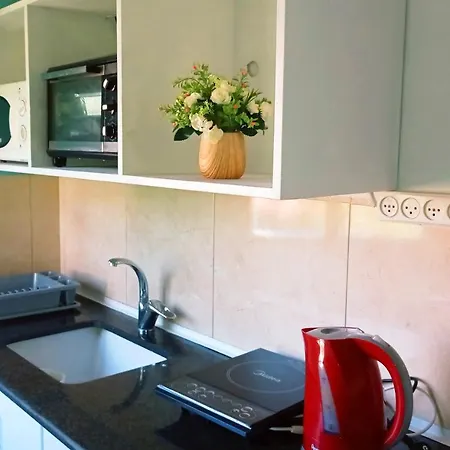 Jordan Valley One Room Apartment Menaẖemya Exterior foto