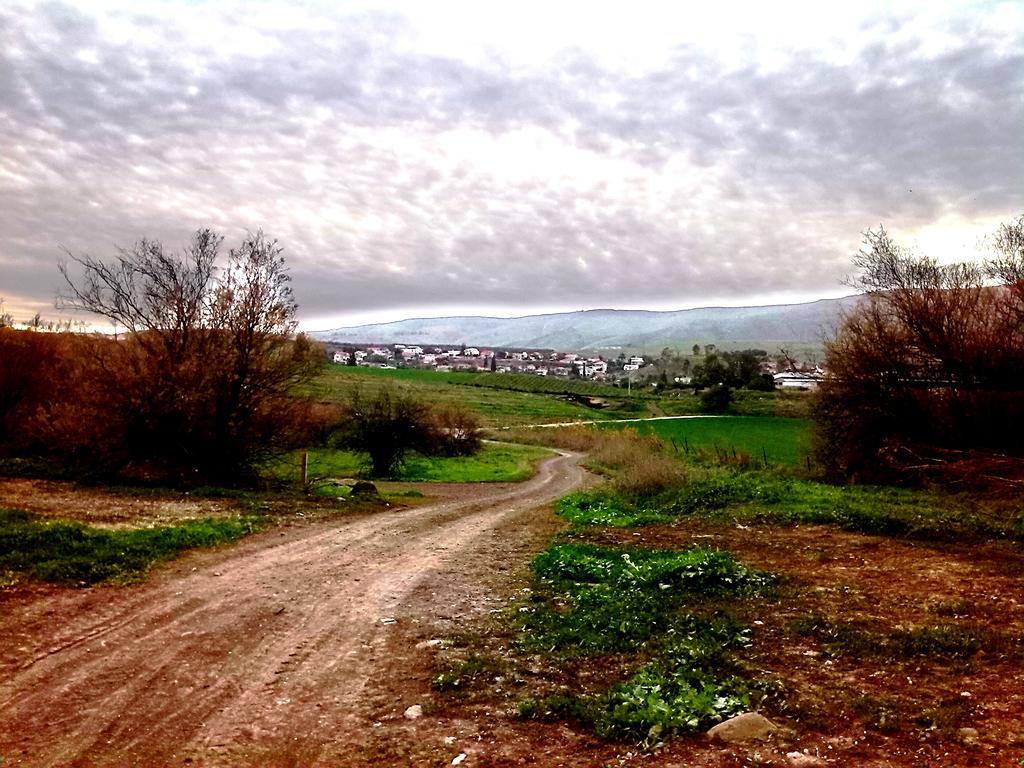 Jordan Valley One *